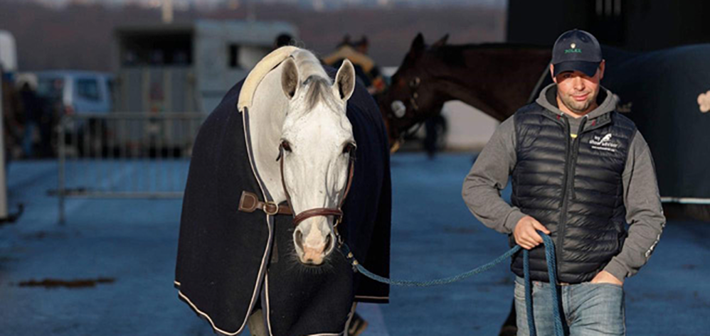 Sean Vard super groom giro del mondo purificatore fieno harrison horse care blog