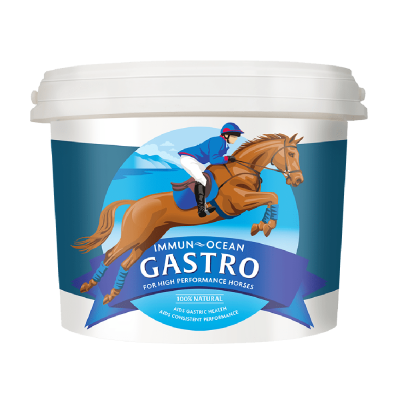 immun-ocean gastro shop harrison horse care