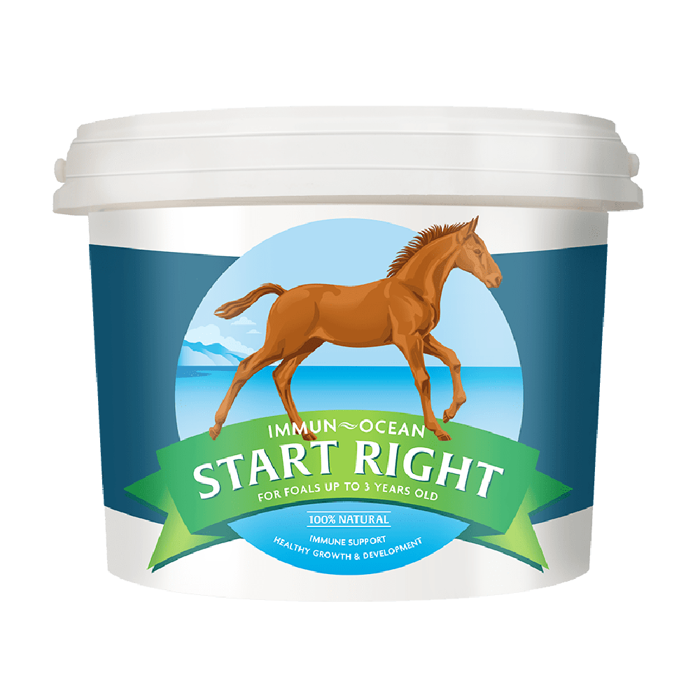 immun-ocean start right shop harrison horse care