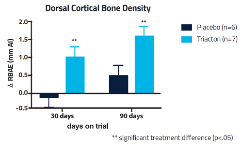 dorsal cortical bone density  