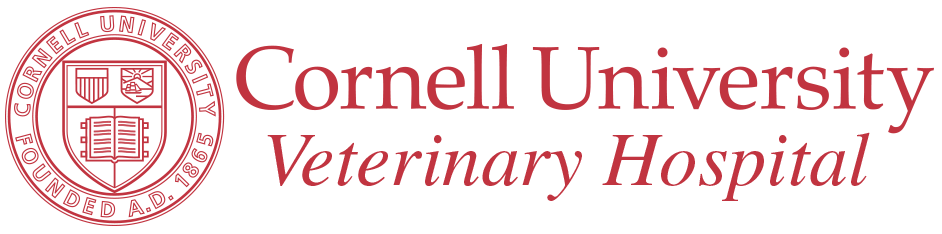 cornell university harrison horsecare